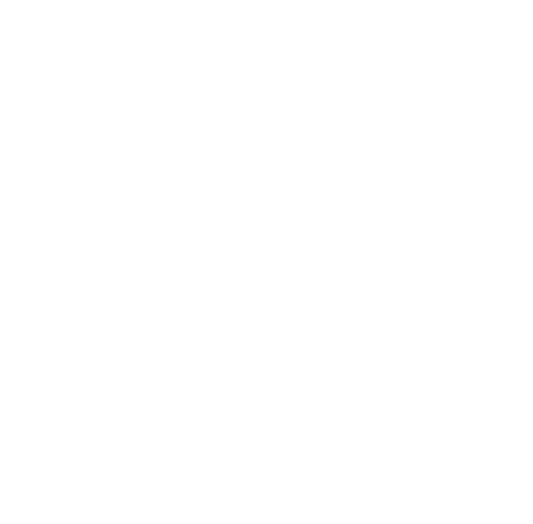 Exclusive Transfer Services